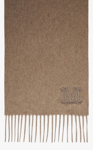 Bufandas Max Mara Cashmere Stole With Embroidery Marrom | MMR594268