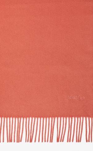 Bufandas Max Mara Cashmere Stole With Embroidery Rosas | MMR594275