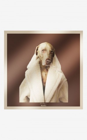 Bufandas Max Mara Printed Silk Scarf Marrom | MMR594271