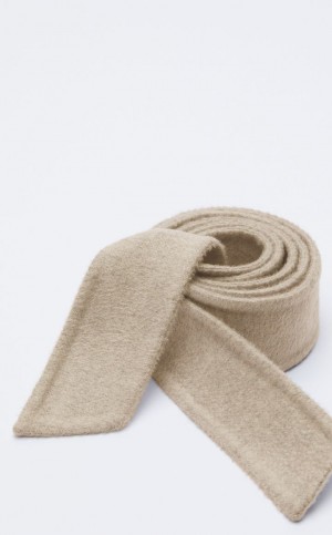 Cinturones Max Mara Ludmilla Marrom | MMR594243