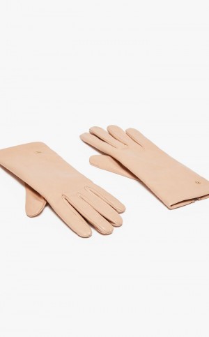 Guantes Max Mara Nappa Cuero Rosas | MMR594233