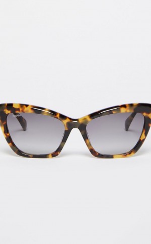Lentes de Sol Max Mara Cat-eye Marrom | MMR594298