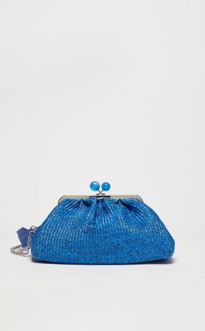 Weekend Bag Max Mara Medium Pasticcinoin Raffia Azules | MMR594142